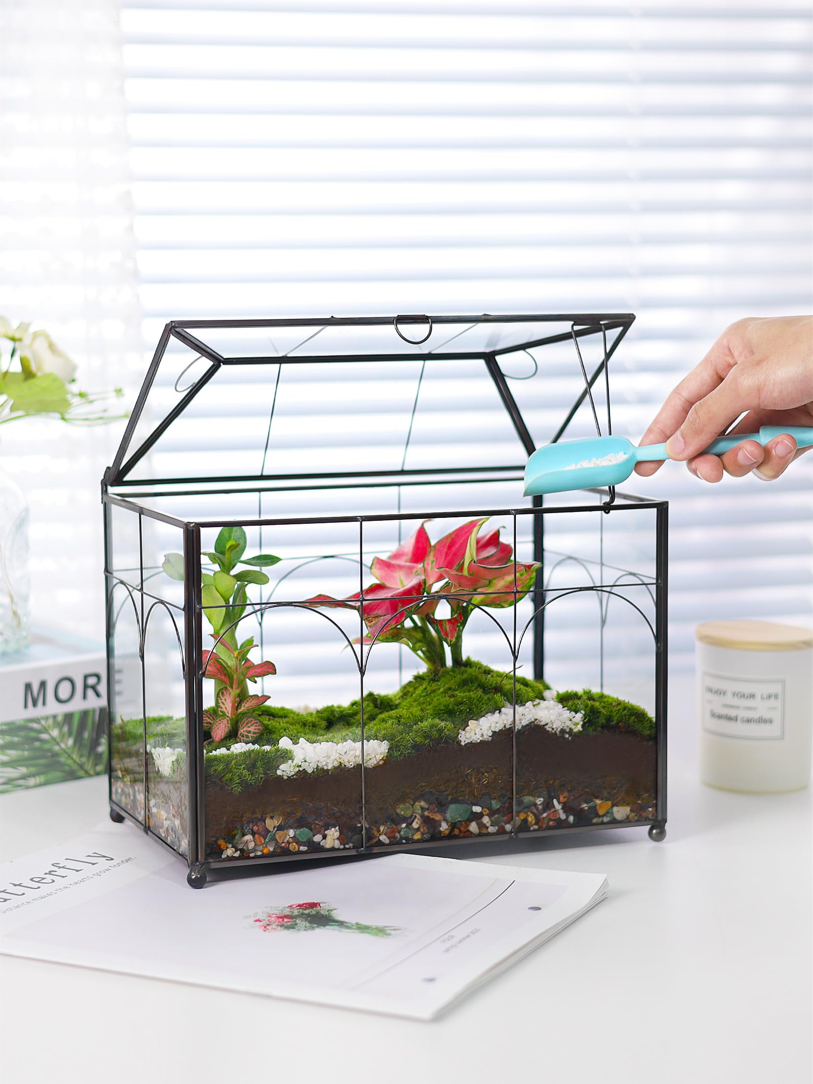 REDHUGO tempered glass terrarium construction with clear visibility of plants