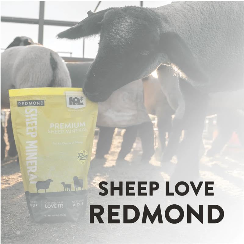 REDMOND Sheep Mineral granules closeup reveals natural sea minerals from Utah