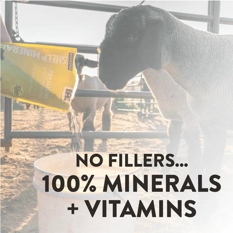 REDMOND Sheep Mineral in stable setting illustrates practical farm use