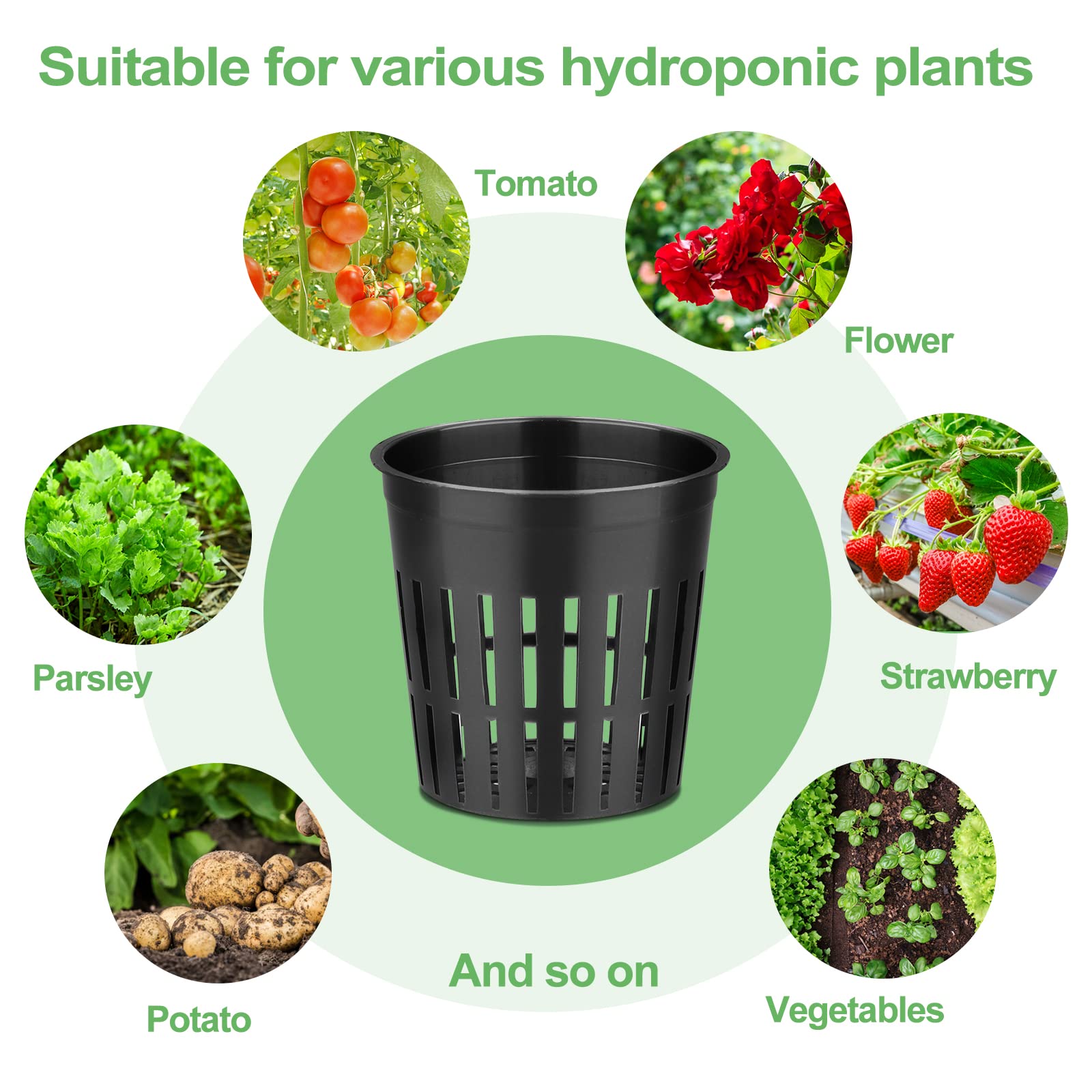 Reeooue 500-pack offers cost-effective growing with many cups.
