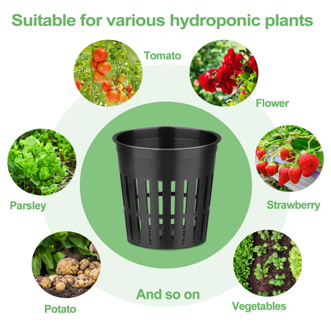 Reeooue 500-pack offers cost-effective growing with many cups.