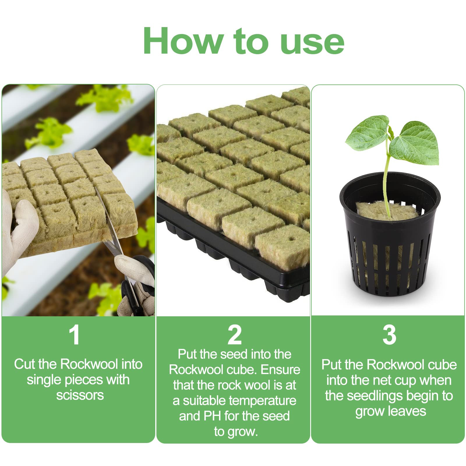 Reeooue 2-inch mesh cups promote strong root development
