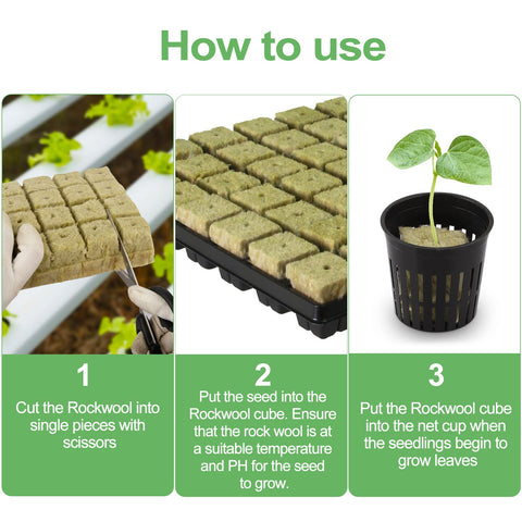 Reeooue 2-inch mesh cups promote strong root development