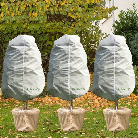 Close-up of Refasen cover with zipper access for inspecting plants.