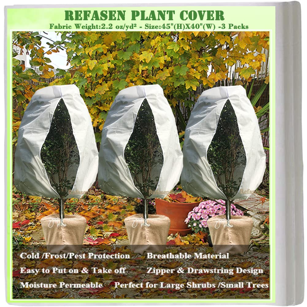 Refasen frost blanket 45x40 over a shrub protects against cold snaps and light frost.