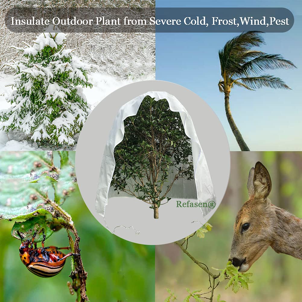 Refasen frost blanket 90x75 inches shields a shrub from frost.