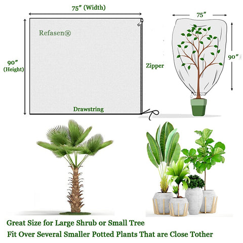 Large shrub or small tree cover by Refasen ready for winter protection.