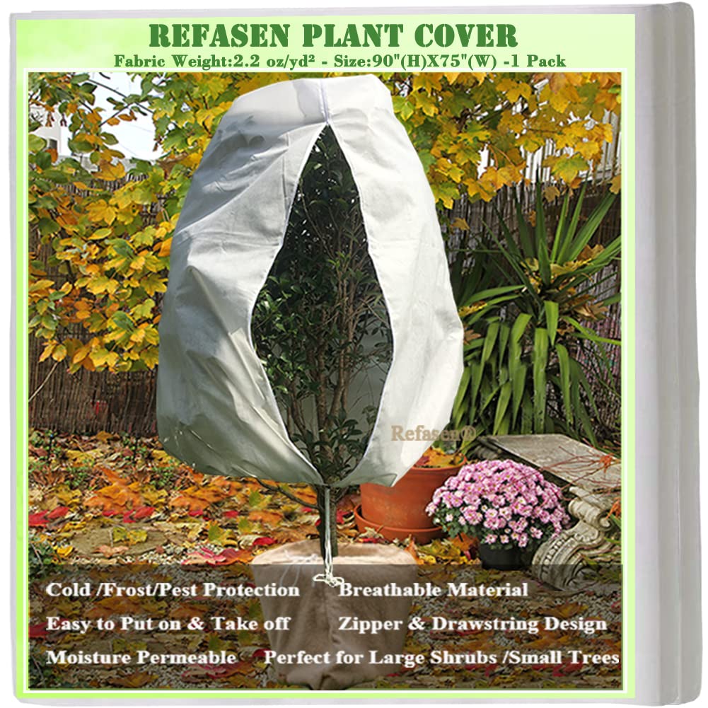 Refasen plant cover with zipper and drawstring protecting shrubs during winter.