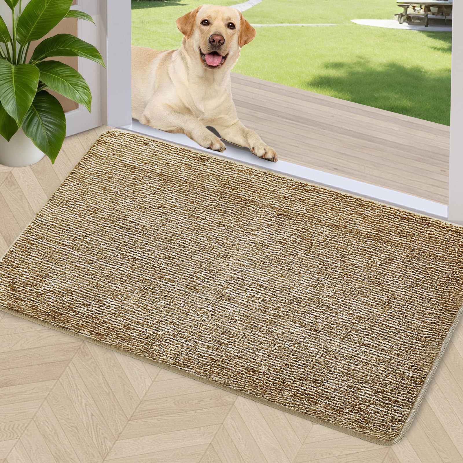 REFETONE indoor doormat captures moisture and dirt at the entryway
