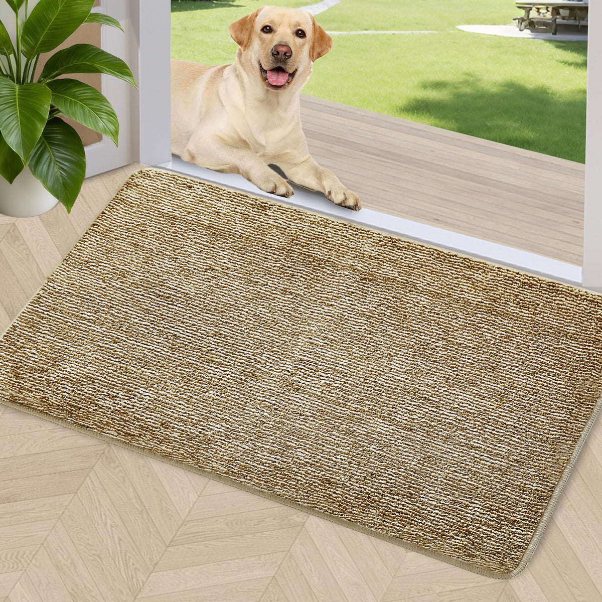 REFETONE indoor doormat captures moisture and dirt at the entryway