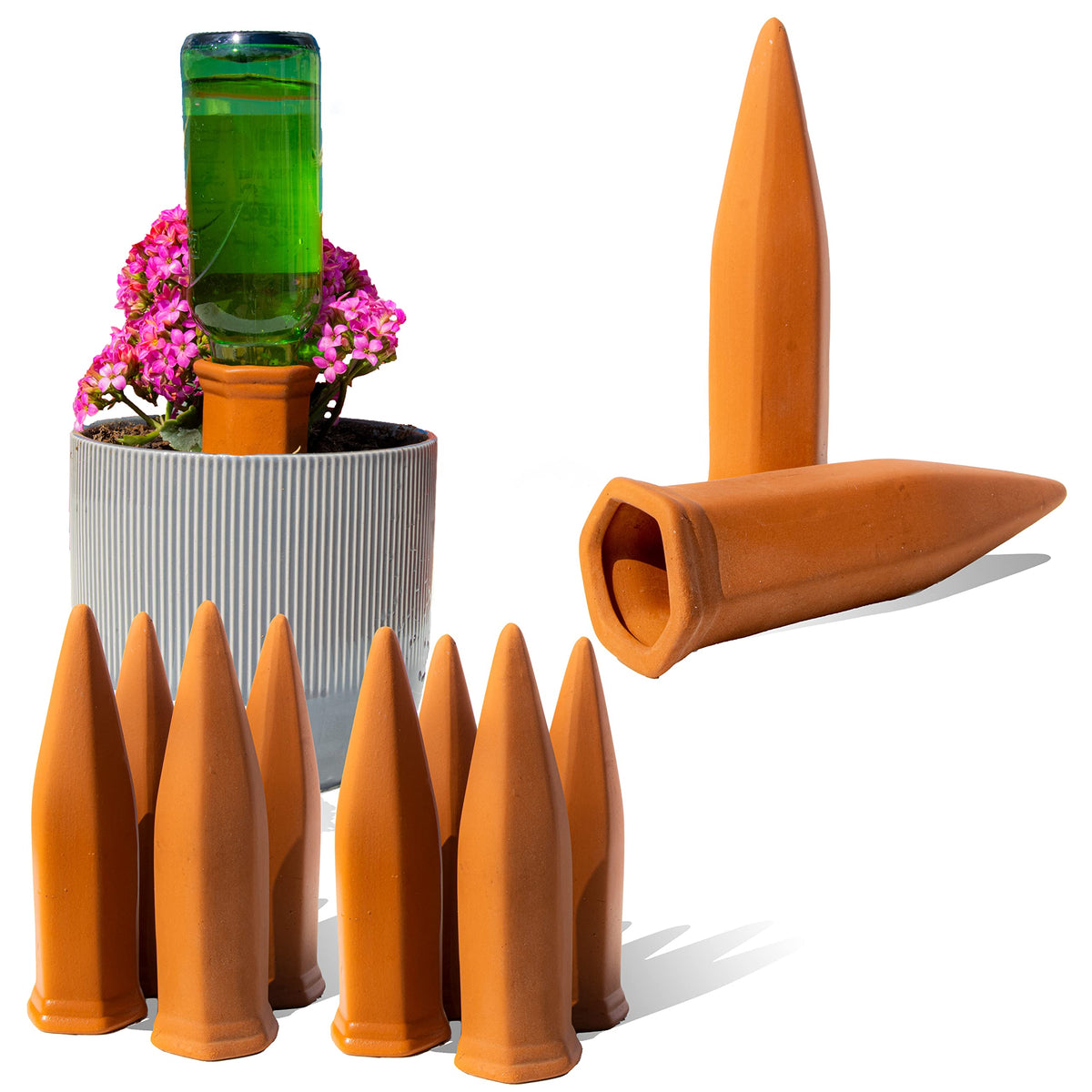 Reifier 10-pack self-watering spikes in terracotta ready for soil insertion.