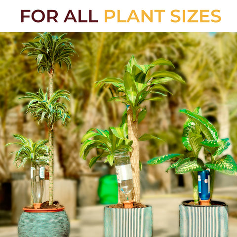 Terracotta spike by Reifier for indoor plant use.