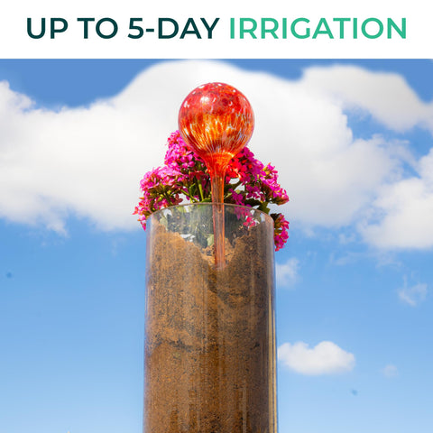 Reifier indoor-outdoor plant watering setup is versatile for various spaces.