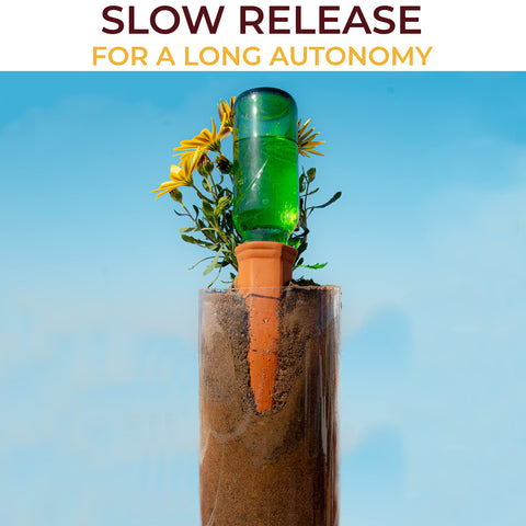 Reifier spikes enable bottle reuse for eco-friendly watering