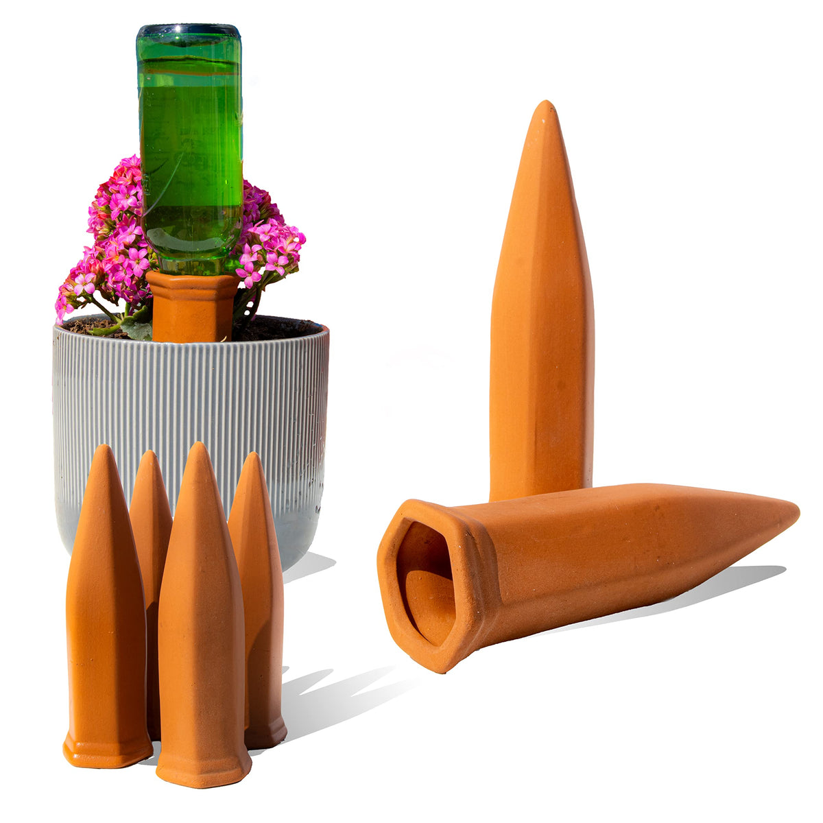 Reifier self-watering spikes in soil keeping indoor plant hydrated