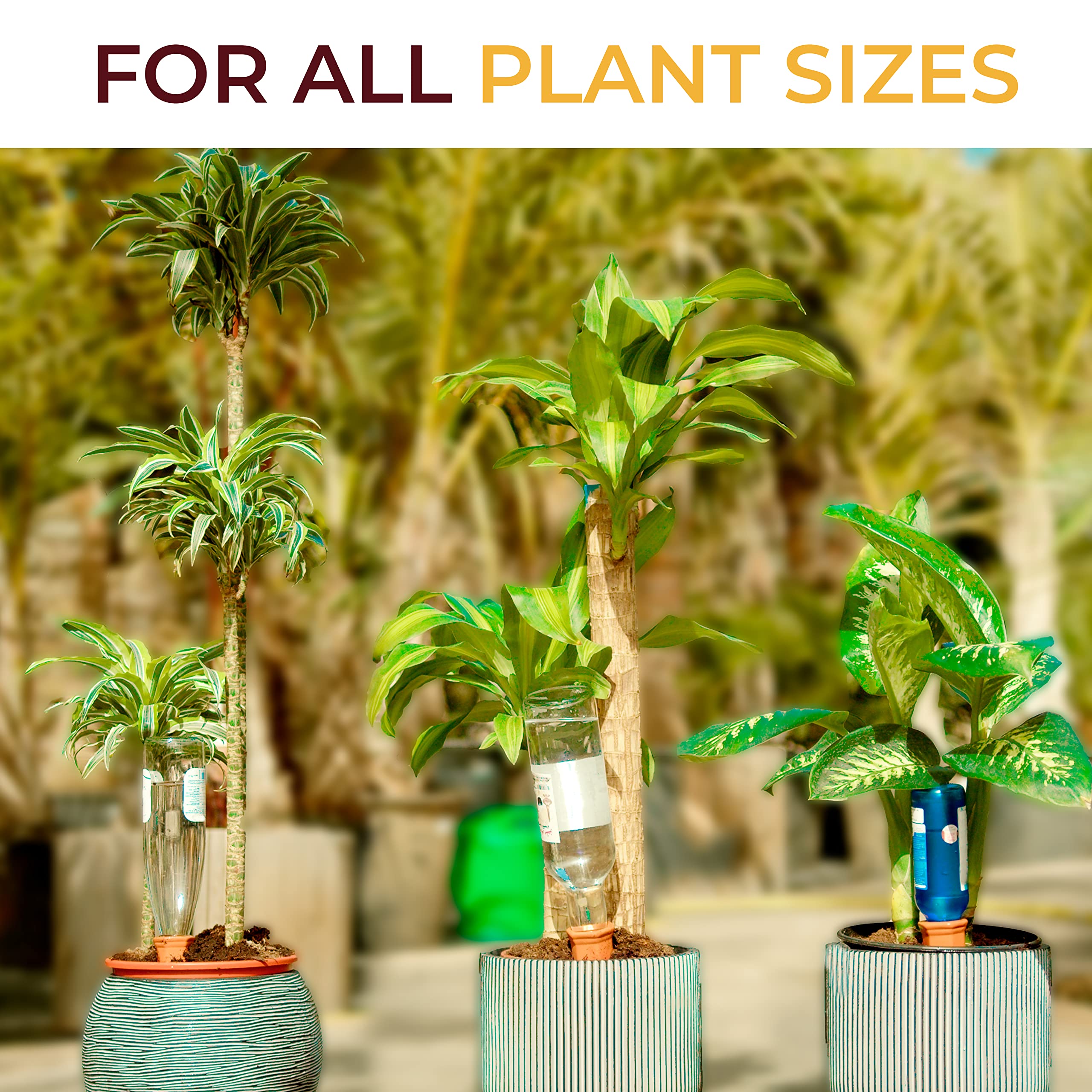 Indoor plant with Reifier spike delivering steady moisture