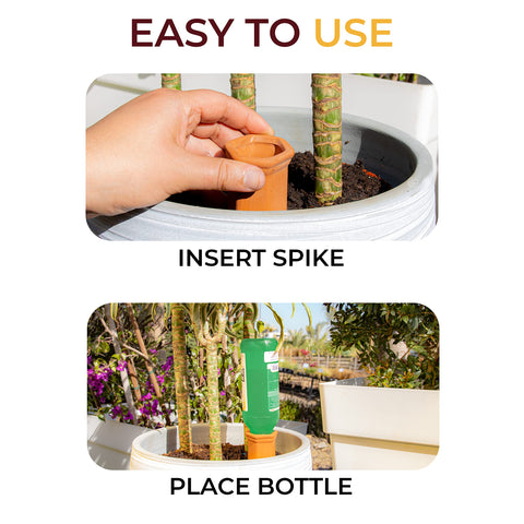 Vacation-ready Reifier system keeps plants hydrated while away