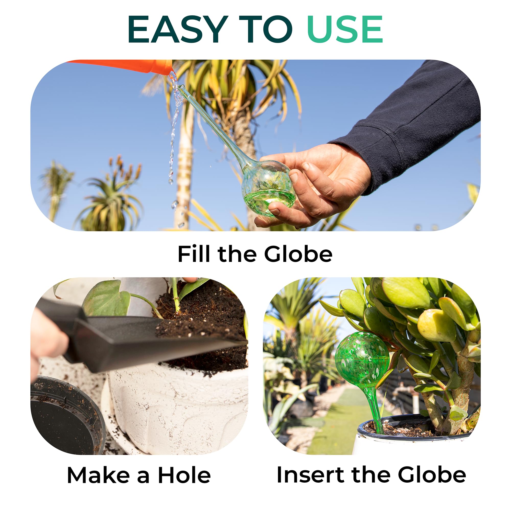 Reifier vacation-ready watering helps plants stay hydrated during trips and busy periods.