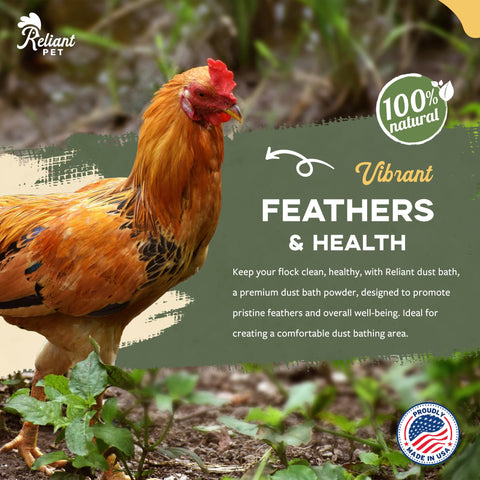 Reliant Pet dust bath tub setup shown in a coop for easy feather grooming