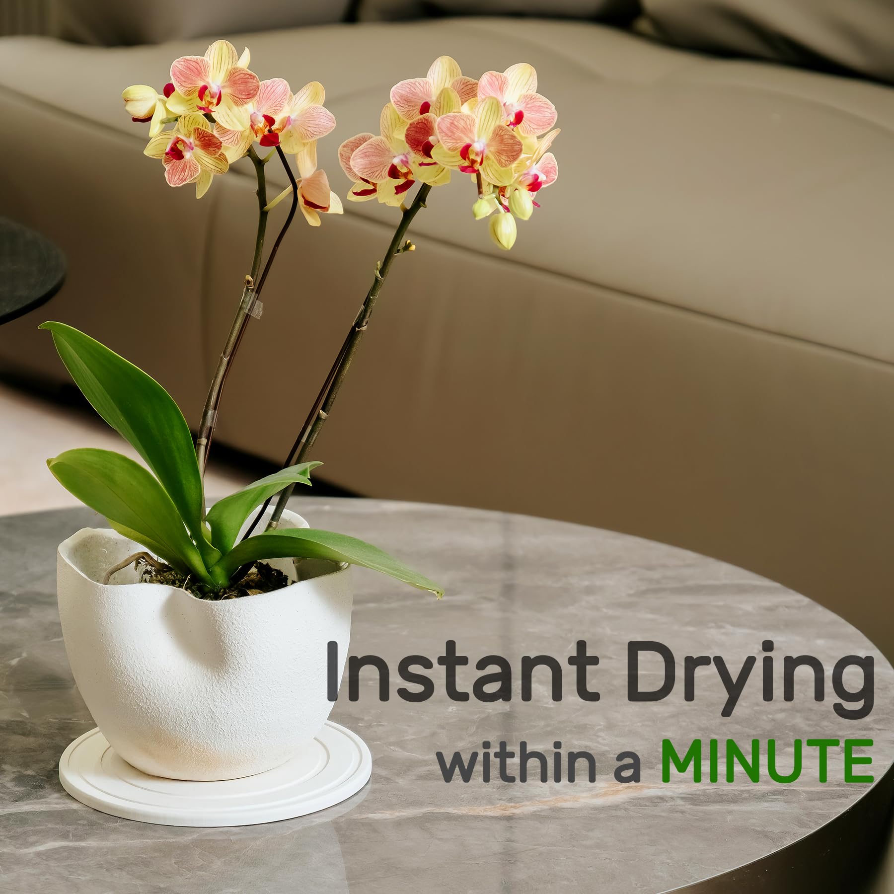 Relime 10-inch diatomaceous earth plant saucer drains quickly for larger pots