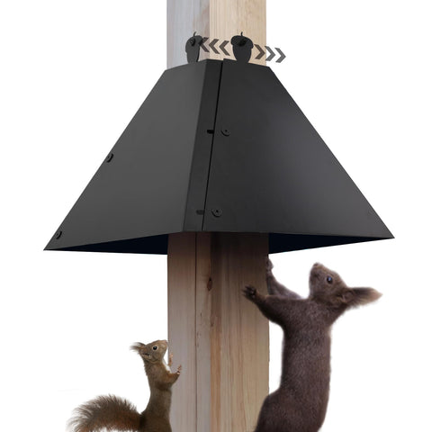 RELIY metal squirrel baffle over a 4x4 post protects bird feeders from intruders