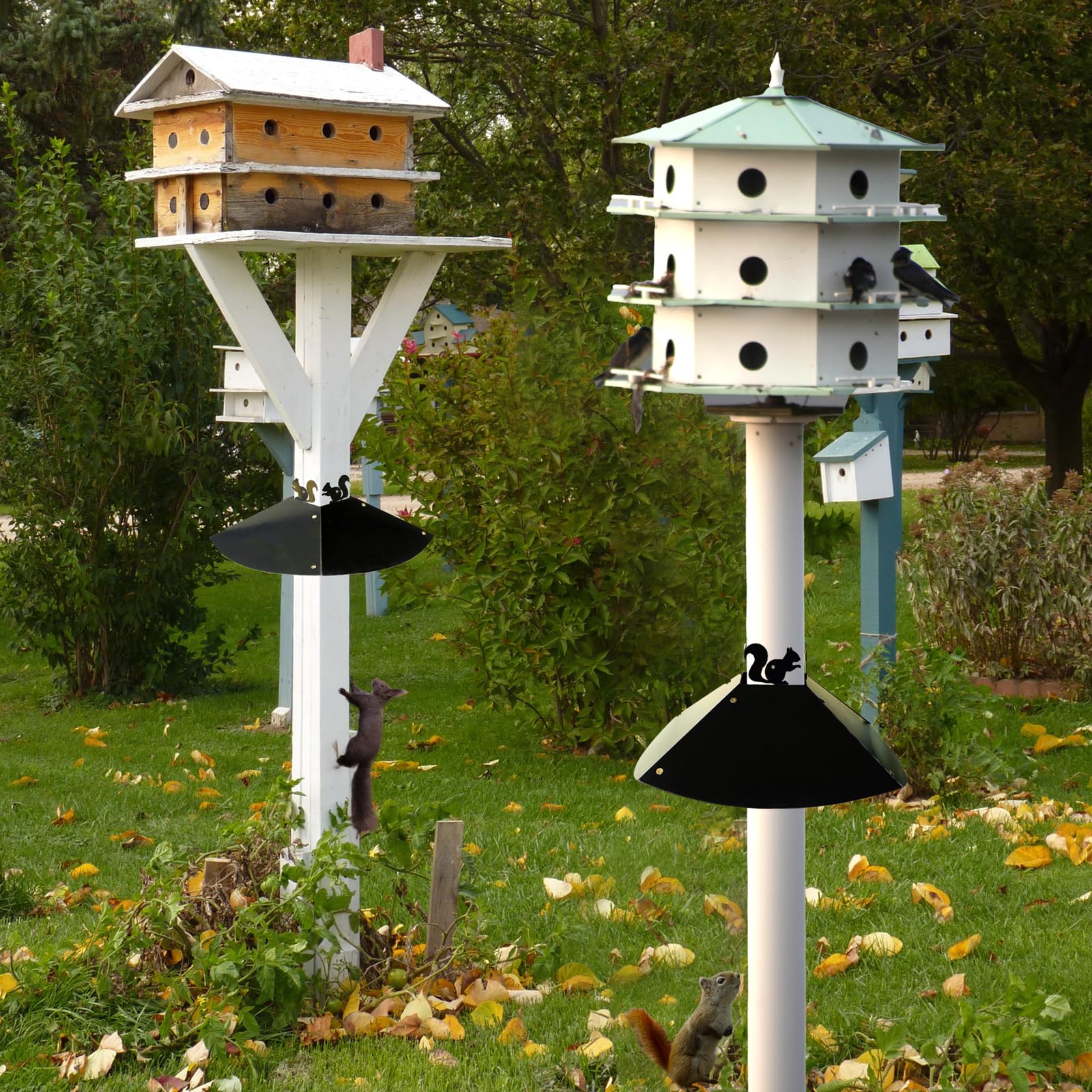 RELIY weatherproof metal baffle endures rain and wind while guarding feeders.