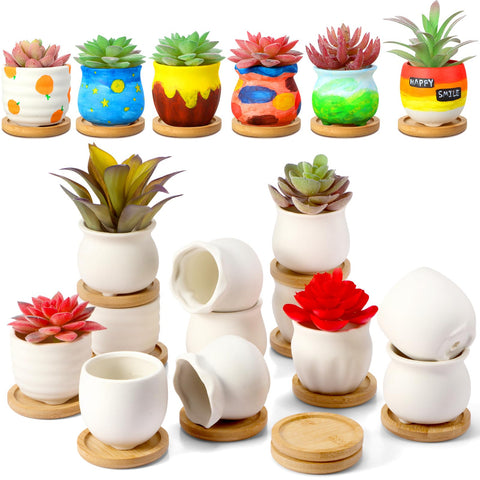 Remerry mini succulent pots with bamboo tray display compact plants on a sunny windowsill