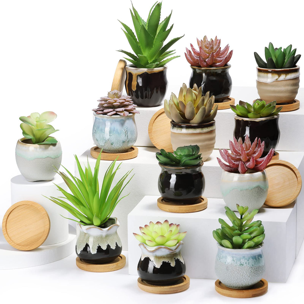 Remerry 24-pcs succulent pots set for versatile gifting and easy plant care