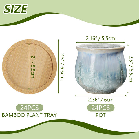 Remerry ceramic succulent planter with drainage maintains healthy soil