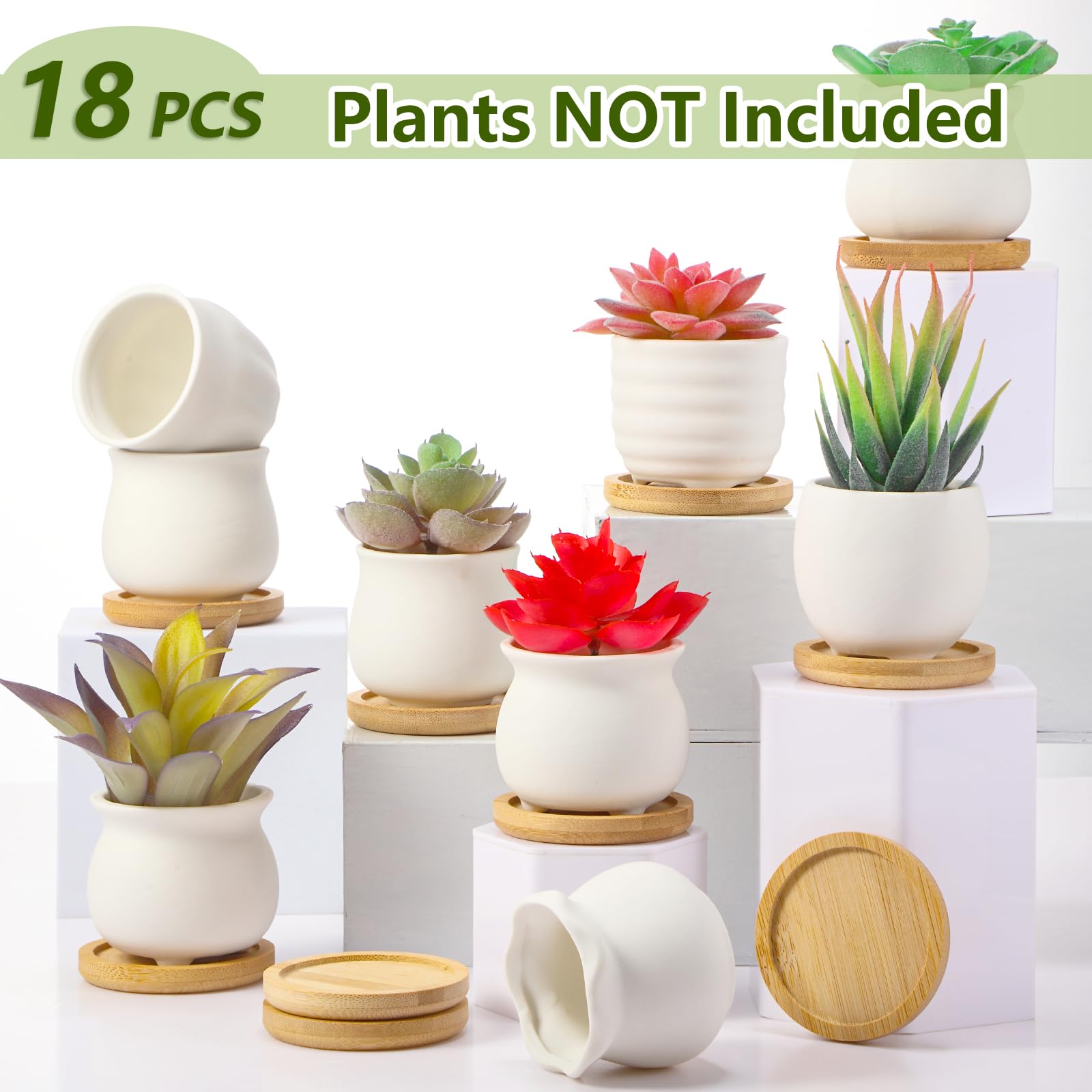 Remerry paintable succulent pot inviting color customization and creativity