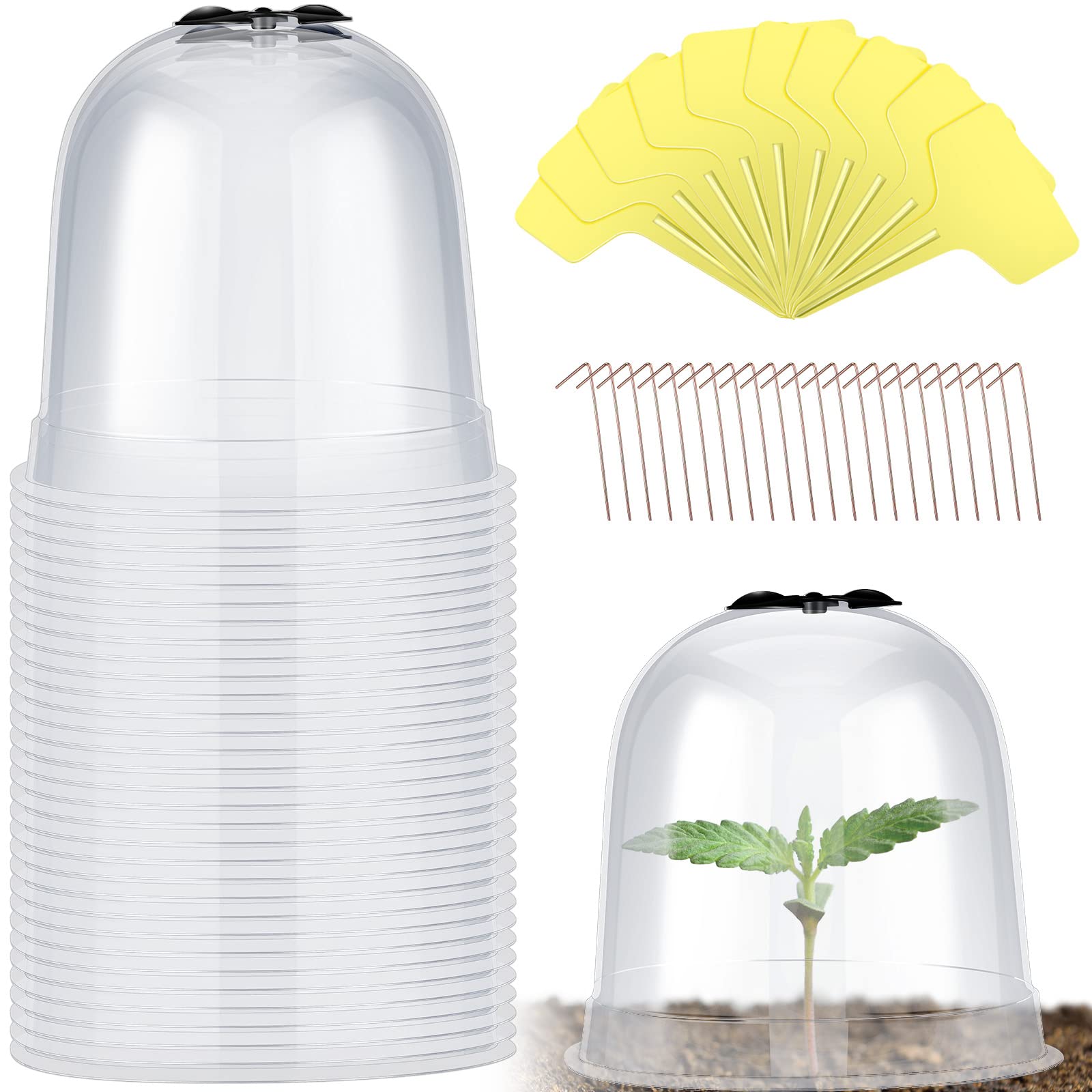 Remerry garden cloche clear bell cover protects seedlings while staying crystal clear for inspection.