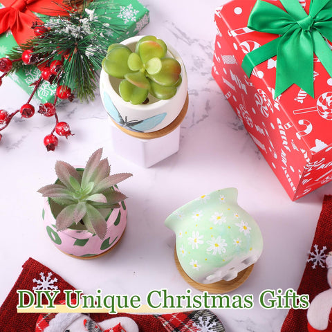Remerry gift-ready succulent pots set for plant lovers