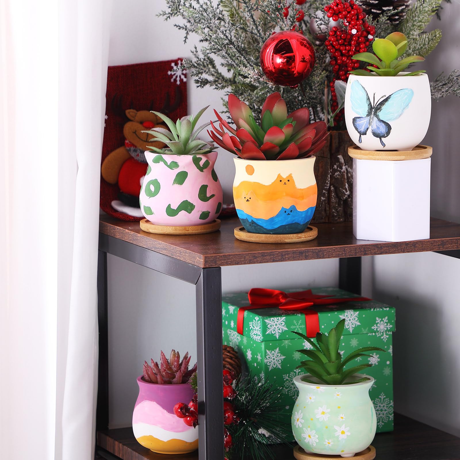 Remerry gift-ready succulent pots ideal for birthdays or holidays.