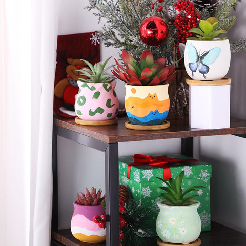 Remerry gift-ready succulent pots ideal for birthdays or holidays.