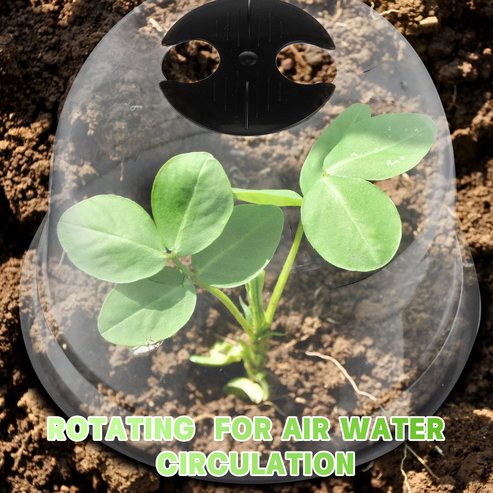 Remerry waterproof plant labels help you track varieties and care notes at a glance.
