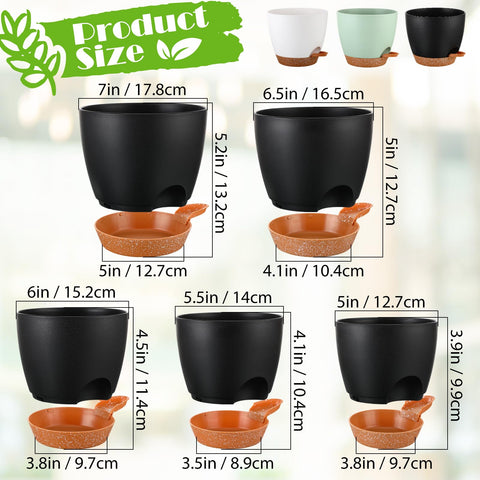 Remerry self-watering planter 6.5-inch promotes steady moisture for herbs and succulents.