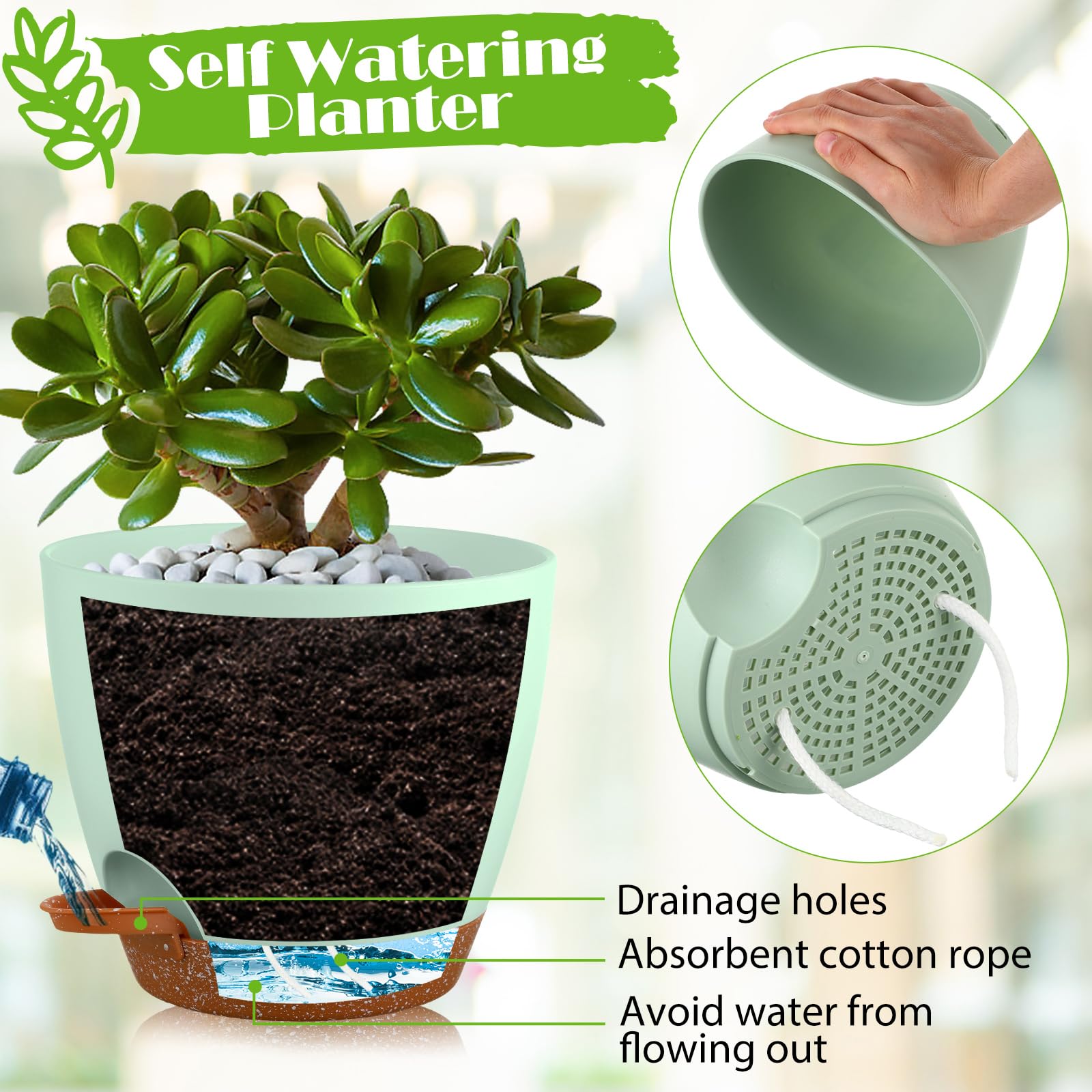 Remerry 6-inch self-watering planter keeps plants hydrated with a built-in reservoir.