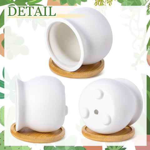 Remerry six styles in one set offer varied decorative options.