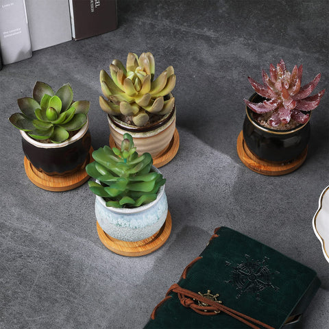 Remerry succulent pots on a bright windowsill for compact indoor gardening