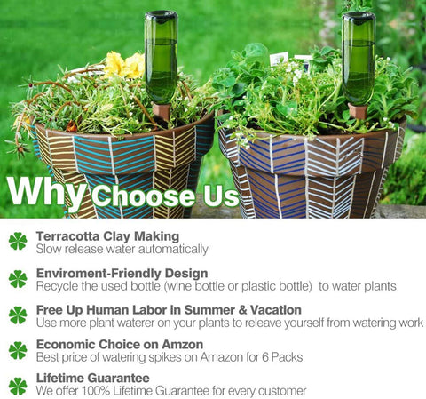 Remiawy 4-pack terracotta stakes provides economical plant care.