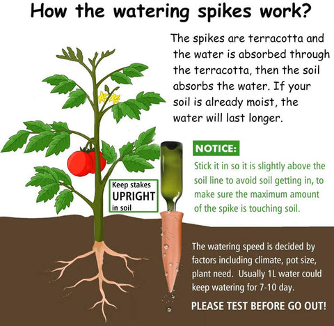 Remiawy indoor-outdoor plant care helps keep soil moisture steady.