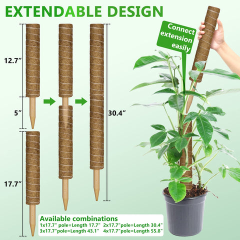 REMIAWY Monstera plant support keeps vines tidy and upright