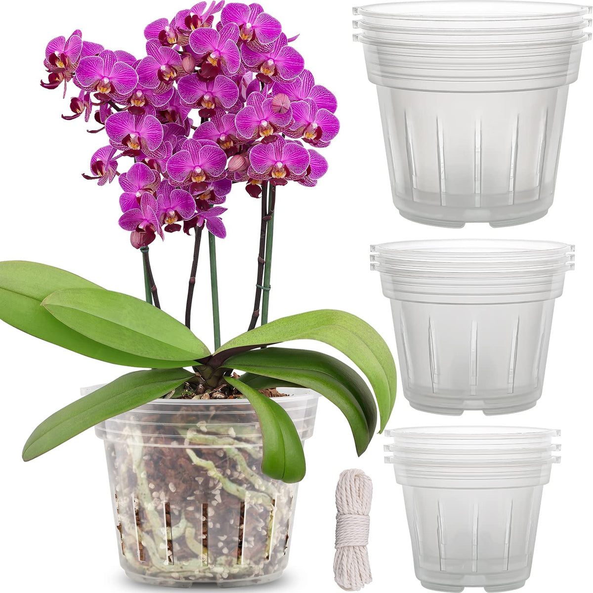 REMIAWY Orchid Pot 4.8-inch diameter with clear sides for easy root watching.