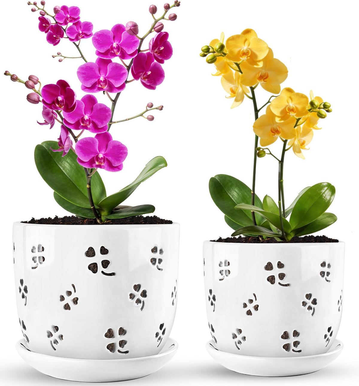 REMIAWY Orchid Pot 6-inch with white ceramic and cutout design, ideal for elegant indoor displays
