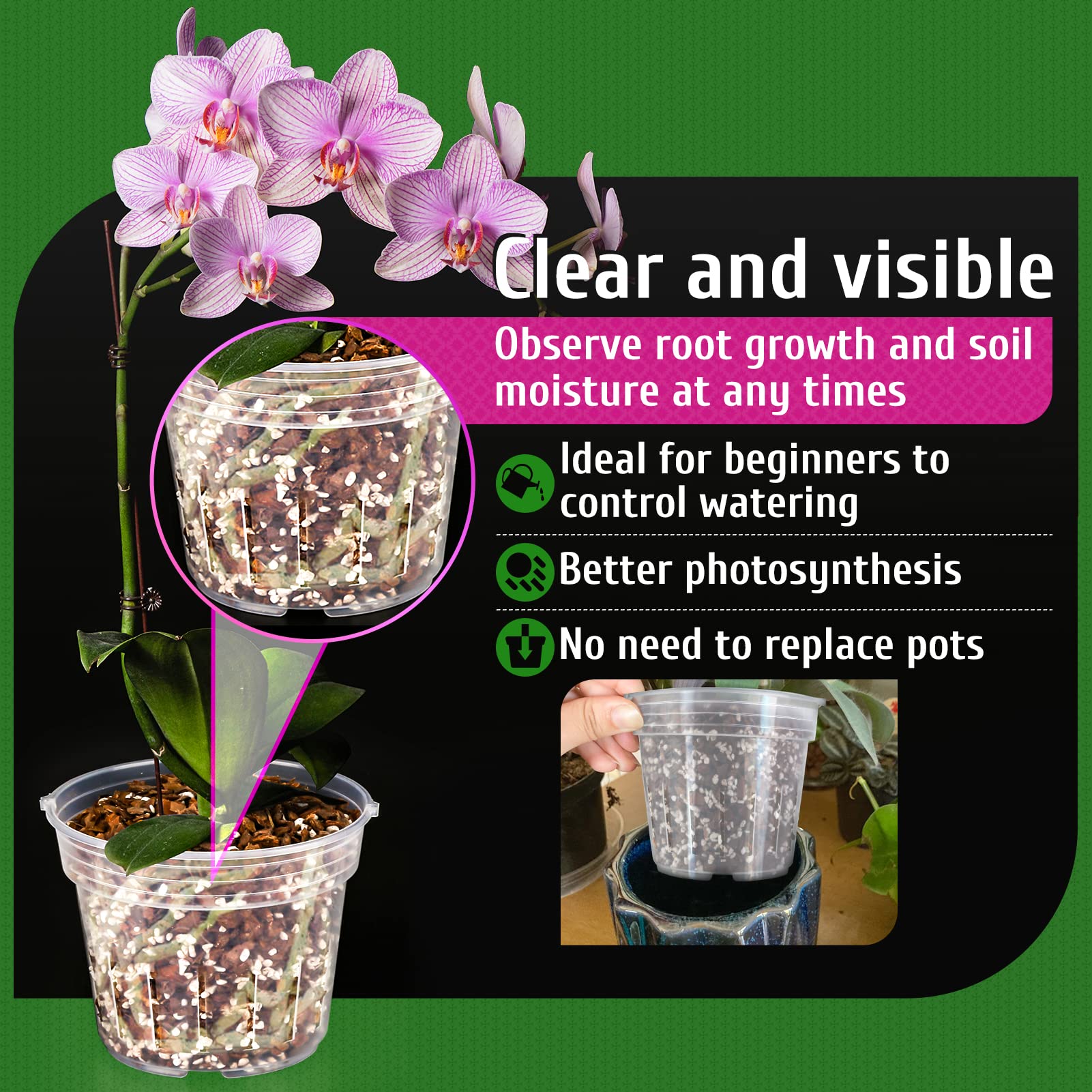 REMIAWY Orchid Pot clear-view with side holes for better photosynthesis.