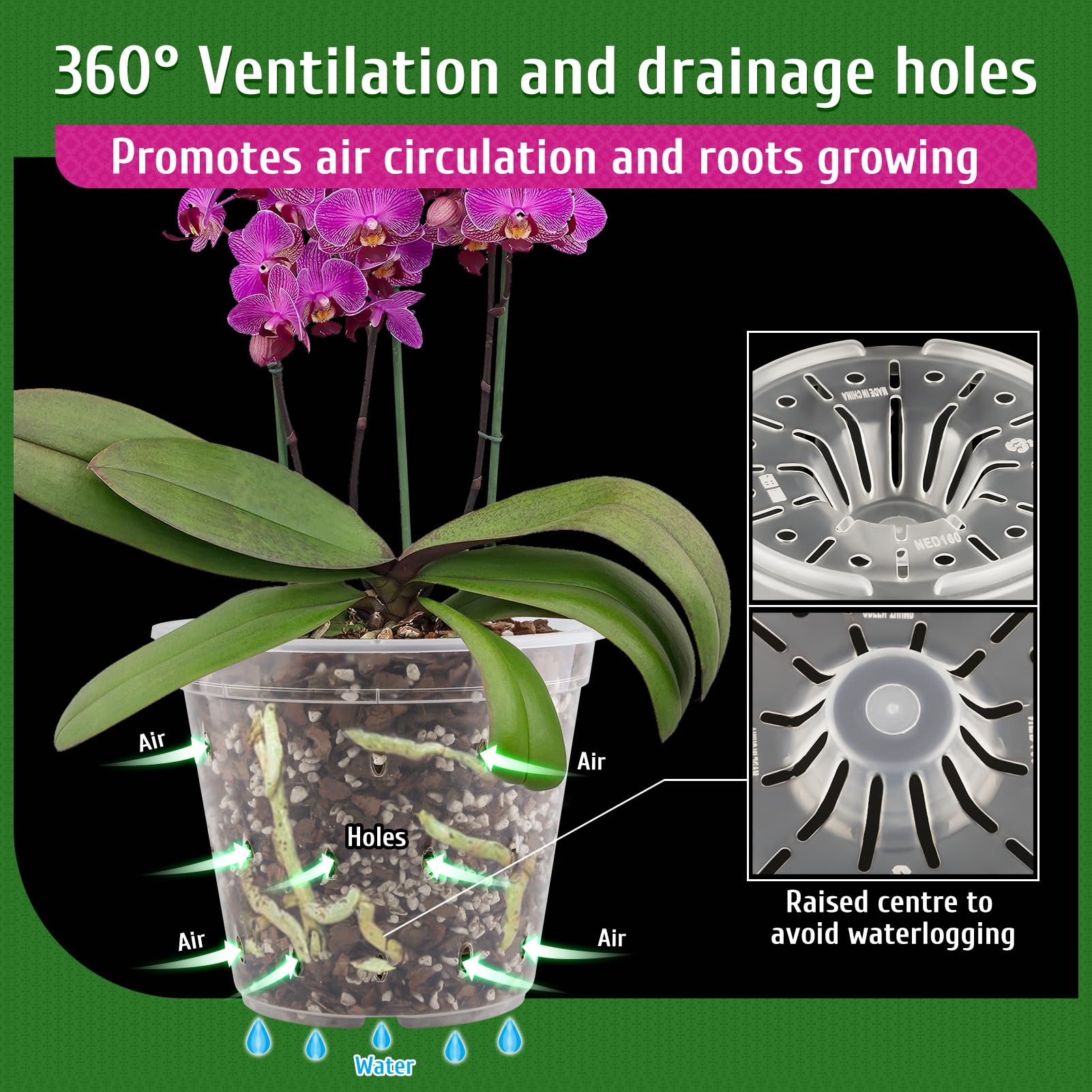 REMIAWY orchid pot clear view for easy root moisture monitoring