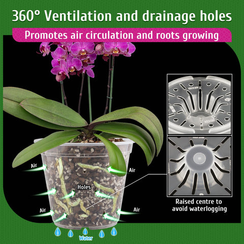 REMIAWY orchid pot clear view for easy root moisture monitoring