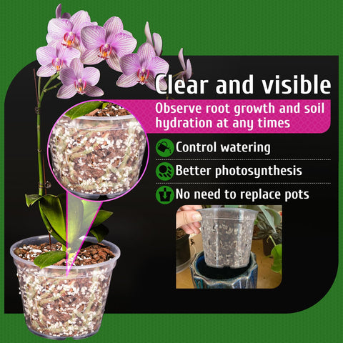 REMIAWY orchid pot suits indoor and outdoor display