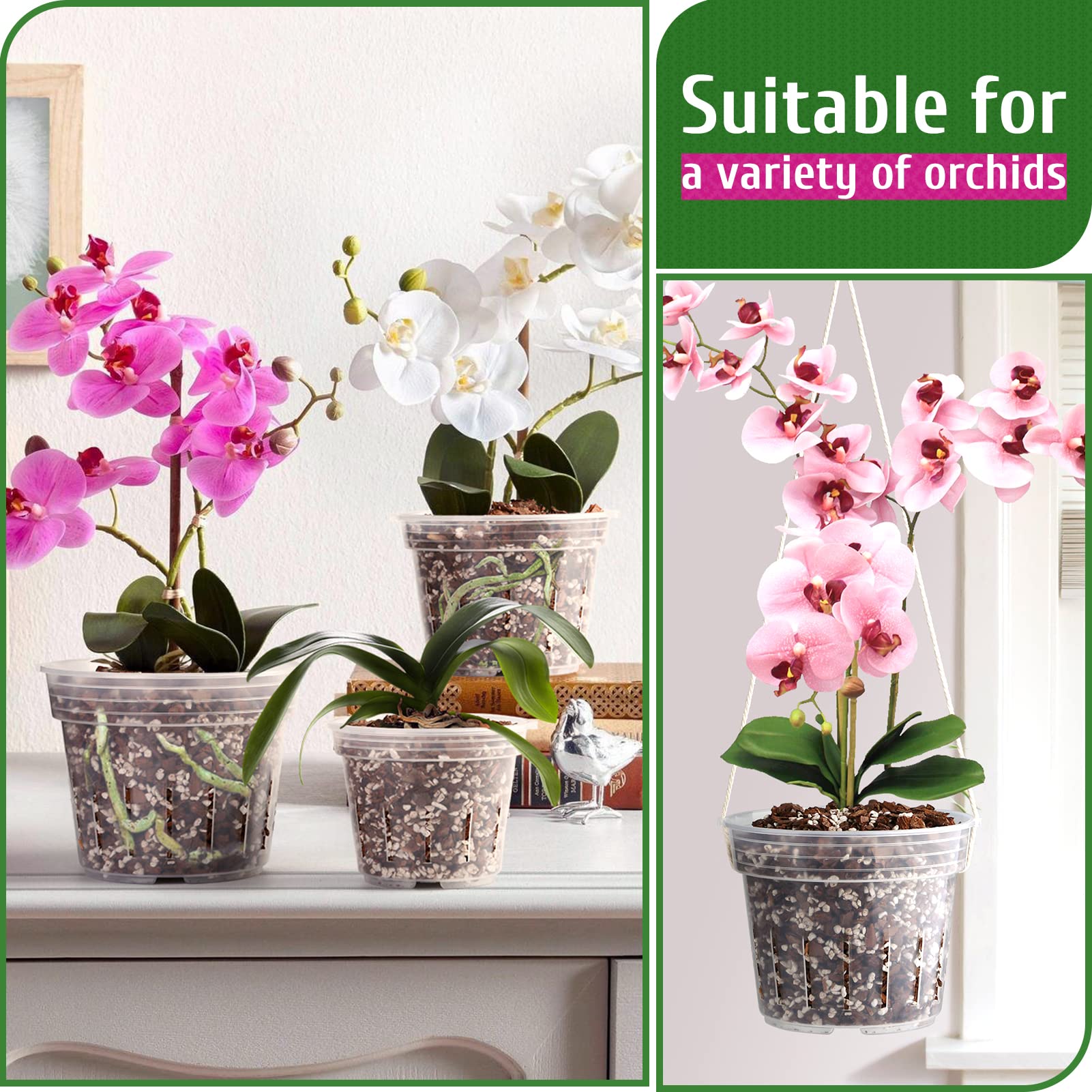 REMIAWY Orchid Pot raised bottom prevents waterlogging during watering.