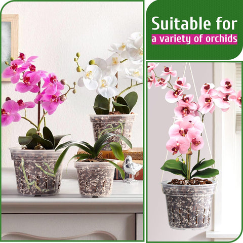 REMIAWY Orchid Pot raised bottom prevents waterlogging during watering.